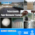 High Molecular Cationic Polyacrylamide PAM Flocculant for Paper Mill